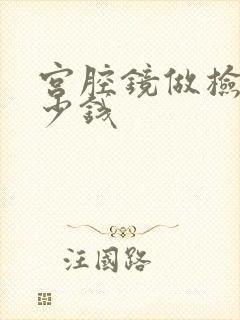 宫腔镜做检查多少钱