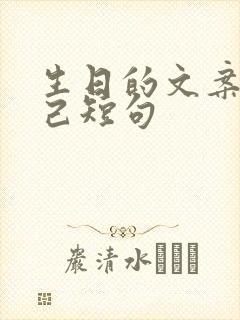 生日的文案致自己短句