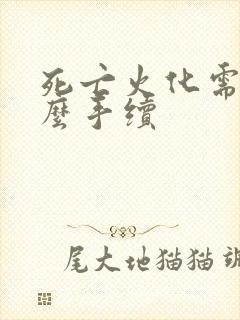 死亡火化需要什么手续