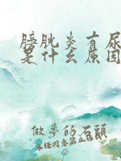 膀胱炎有尿就疼是什幺原因