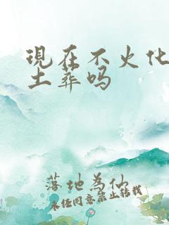 现在不火化可以土葬吗