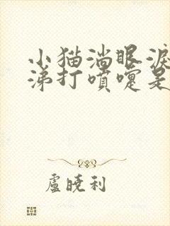 小猫淌眼泪流鼻涕打喷嚏是什么原因