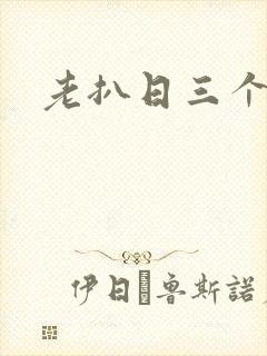 老扒日三个儿媳