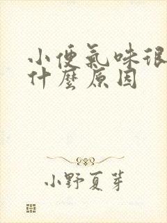 小便气味很大是什么原因