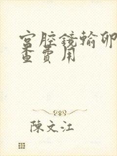 宫腔镜输卵管检查费用