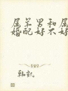 属羊男和属猴女婚配好不好