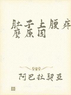 肚子上腹疼是什么原因