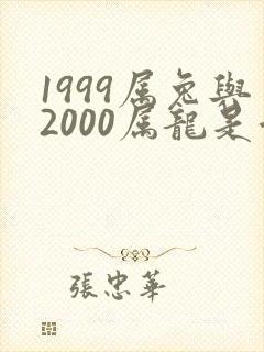 1999属兔与2000属龙是否婚配