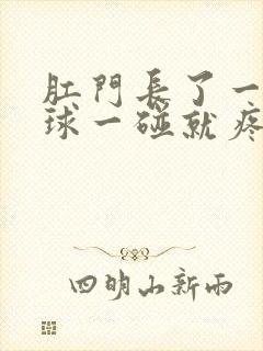 肛门长了一个肉球一碰就疼