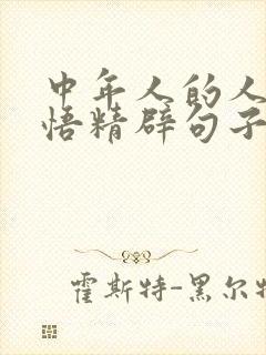 中年人的人生感悟精辟句子