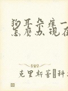 狗耳朵痒一直挠怎么办 现在没药