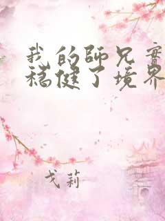 我的师兄实在太稳健了境界