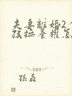 夫妻离婚2个小孩抚养权怎么判