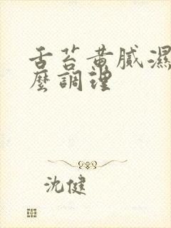 舌苔黄腻湿热怎么调理