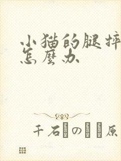 小猫的腿摔瘸了怎么办