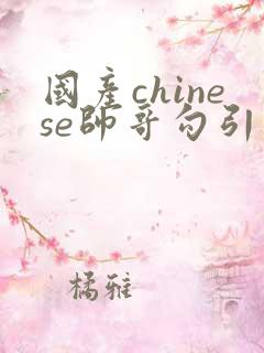 国产chinese帅哥勾引男同性恋guy