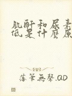 肌酐和尿素氮偏低是什么原因