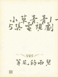 小草青青1一55集电视剧