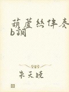 葫芦丝伴奏曲降b调