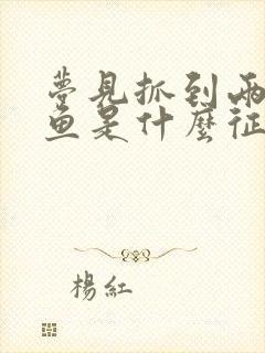 梦见抓到两条大鱼是什么征兆