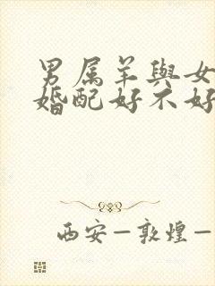 男属羊与女属鼠婚配好不好