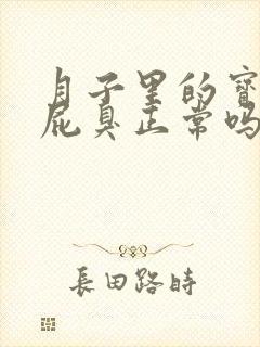 月子里的宝宝放屁臭正常吗