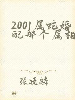 2001属蛇婚配哪个属相最好