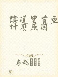 阴道里有鱼腥味什么原因