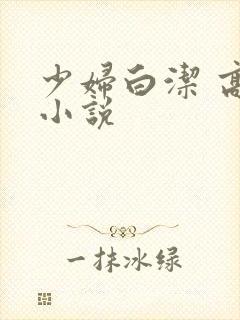 少妇白洁 高义小说