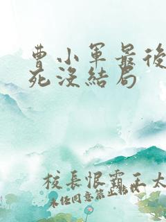 曹小军最后到底死没结局