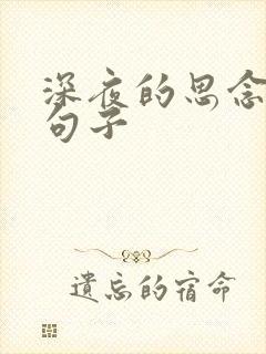 深夜的思念人的句子