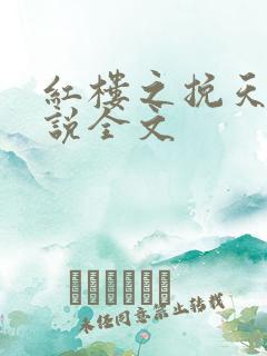 红楼之挽天倾小说全文