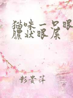 猫咪一只眼有黄脓状眼屎