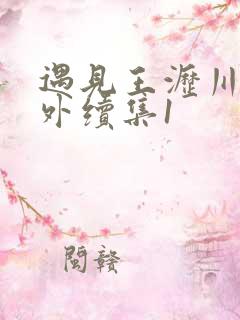 遇见王沥川之番外续集1