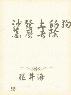 沙发上的狗尿味怎么去除