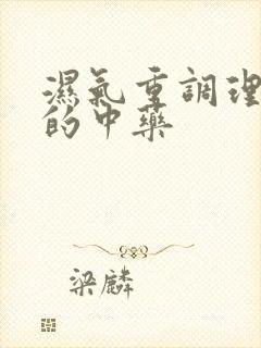 湿气重调理脾胃的中药