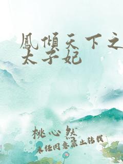 凤倾天下之腹黑太子妃