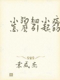 小狗细小病毒是怎么引起的原因