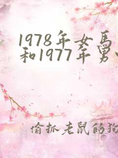 1978年女马和1977年男蛇婚配怎样