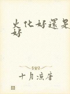 火化好还是土葬好