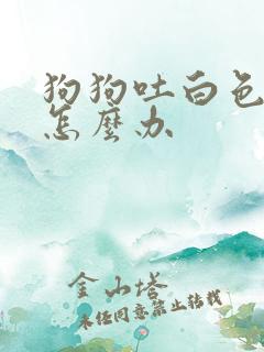 狗狗吐白色粘液怎么办