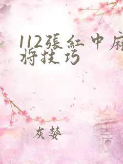112张红中麻将技巧