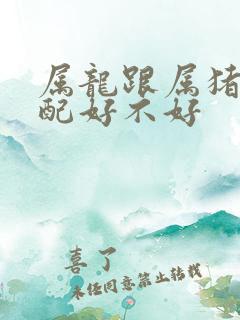 属龙跟属猪的婚配好不好