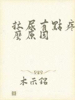 拉尿有点疼是什么原因