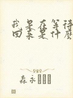 我是在等待你的回来是什么歌