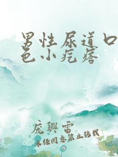 男性尿道口有白色小疙瘩