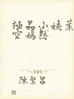 极品小姨叶凡司空嫣然