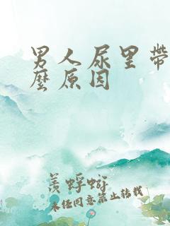 男人尿里带血什么原因