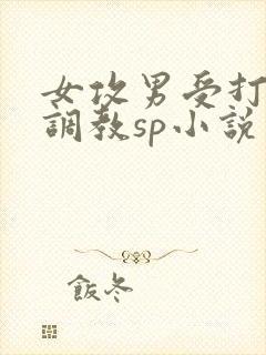 女攻男受打屁股调教sp小说