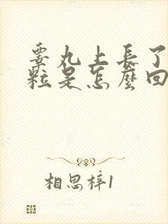 睾丸上长了小颗粒是怎么回事